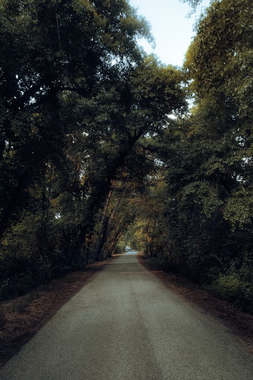 An Empty Country Road
