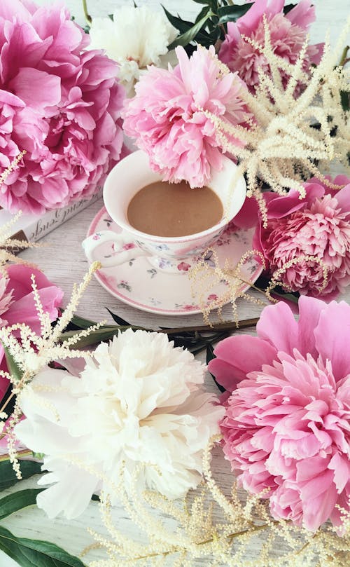 一束花, 咖啡, 咖啡因 的 免费素材图片