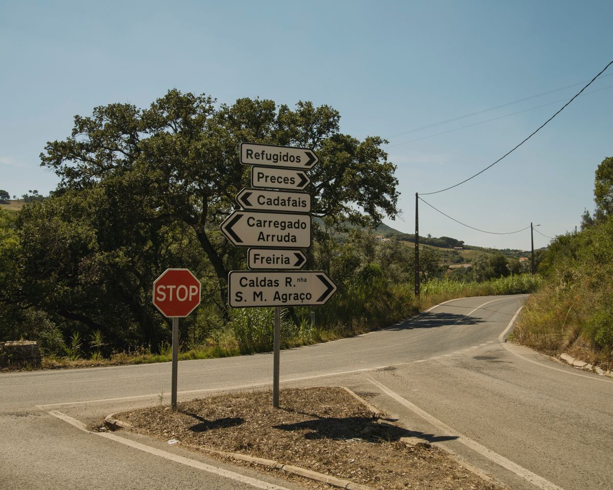 The decision test for your business Road junction with directional signs under a blue sky