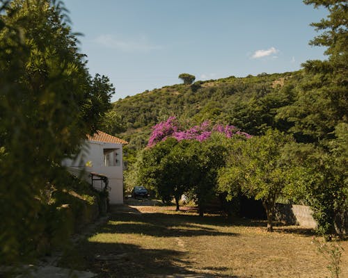 Kostenloses Stock Foto zu außerorts, berg, blauer himmel