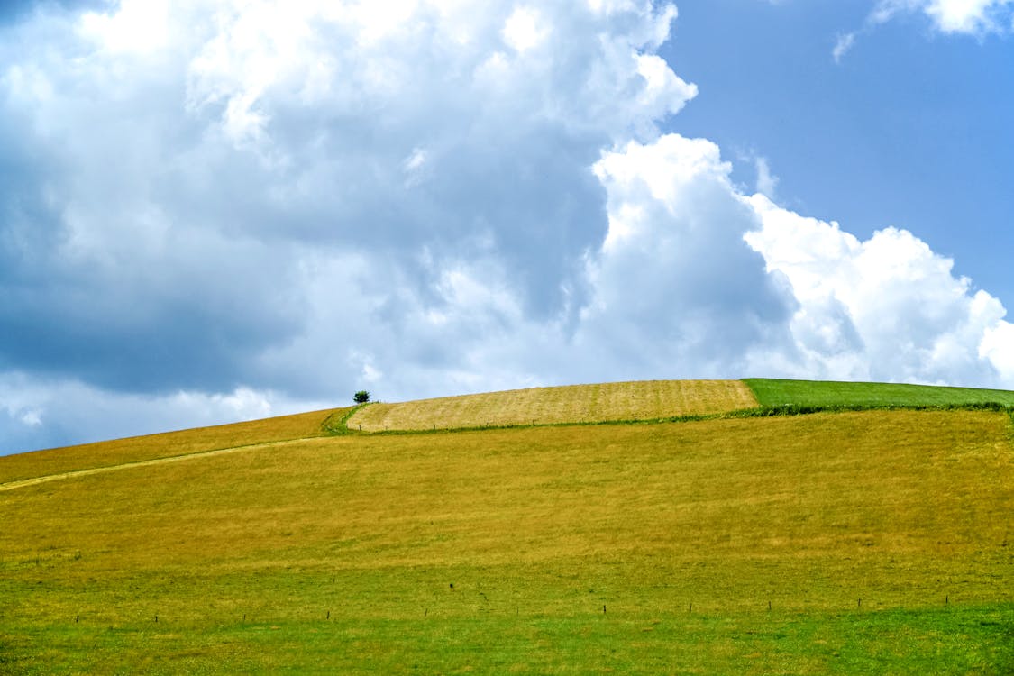 绿草覆盖的山，在白色和蓝色的天空下