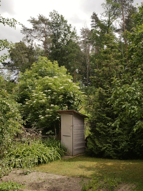 垂直拍摄, 夏天, 小屋 的 免费素材图片