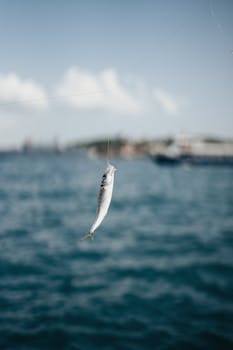 A small fish hangs on a fishing line over a serene ocean view, under a clear sky.