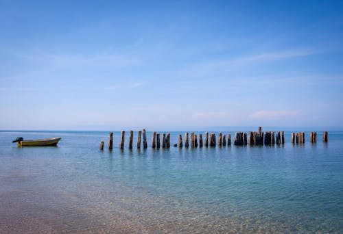 岸, 木製, 海の無料の写真素材