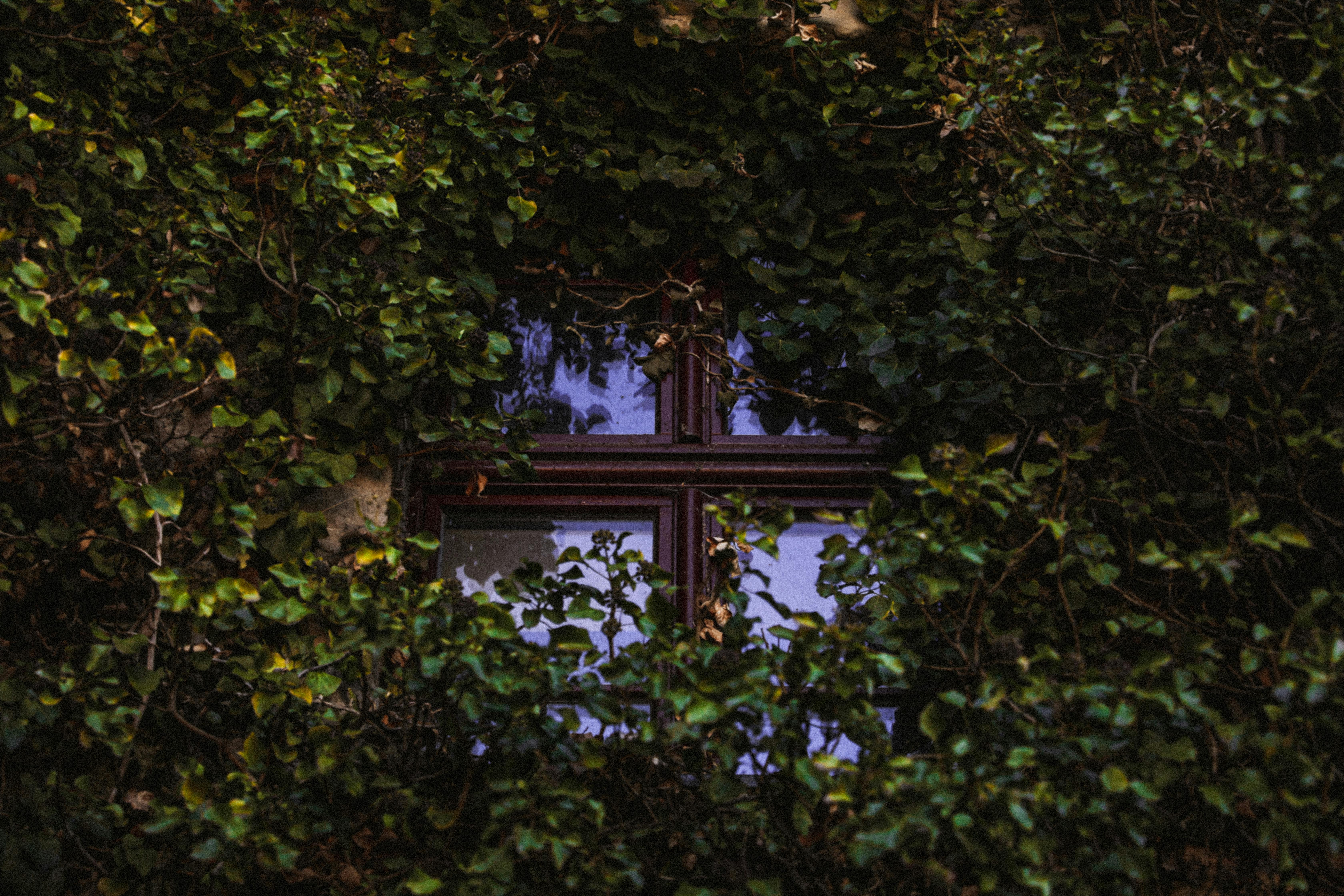 Hidden Secrets in Classic Movies