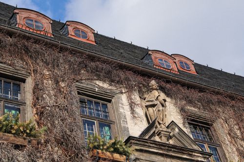 Free Low angle view of a historic ivy-covered building facade with sculptures and dormer windows in Quedlinburg. Stock Photo