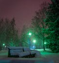 夜晚，路灯照亮了公园长凳，白雪皑皑的公园一片宁静