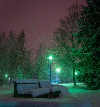 夜晚，路灯照亮了公园长凳，白雪皑皑的公园一片宁静