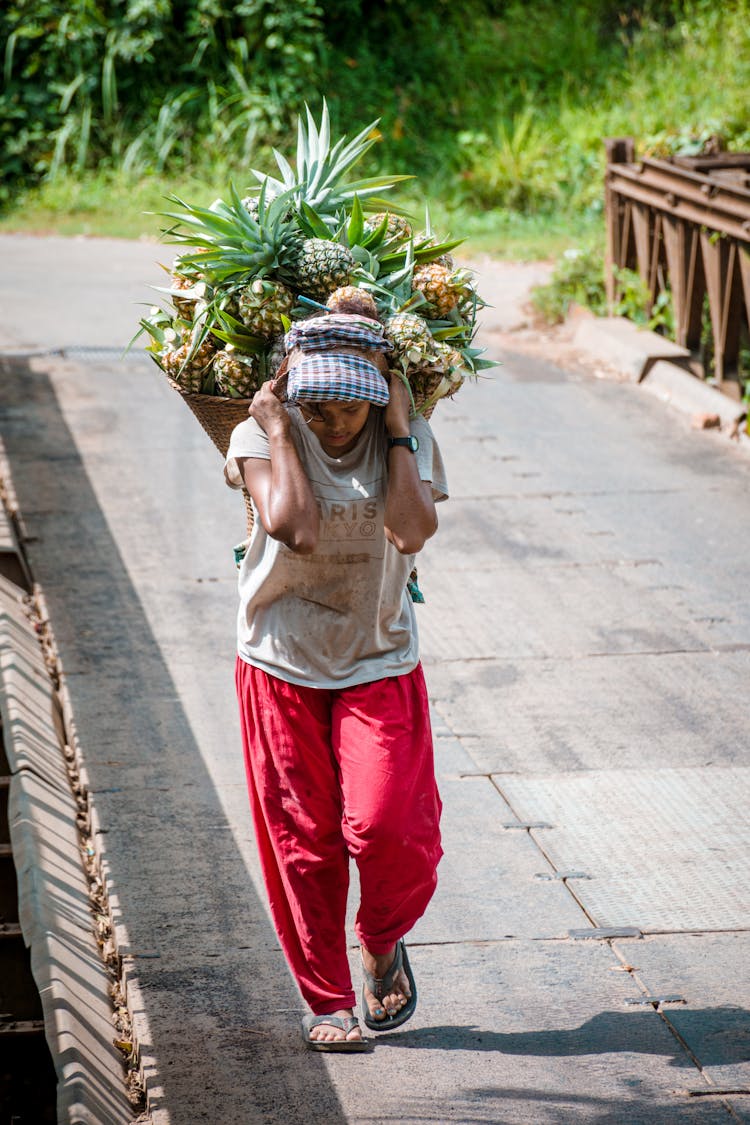 A Person Carrying A Heavy Basket Full Of Pineapples 