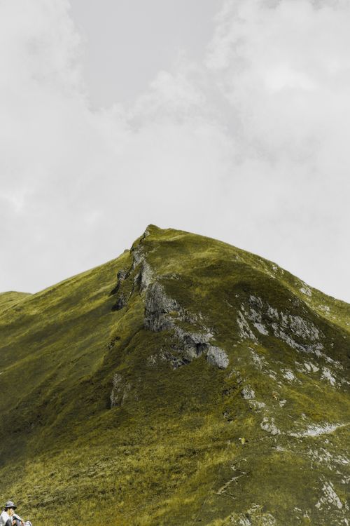 Alpine meadow below peaks, photo by Felix Kiss on Pexels