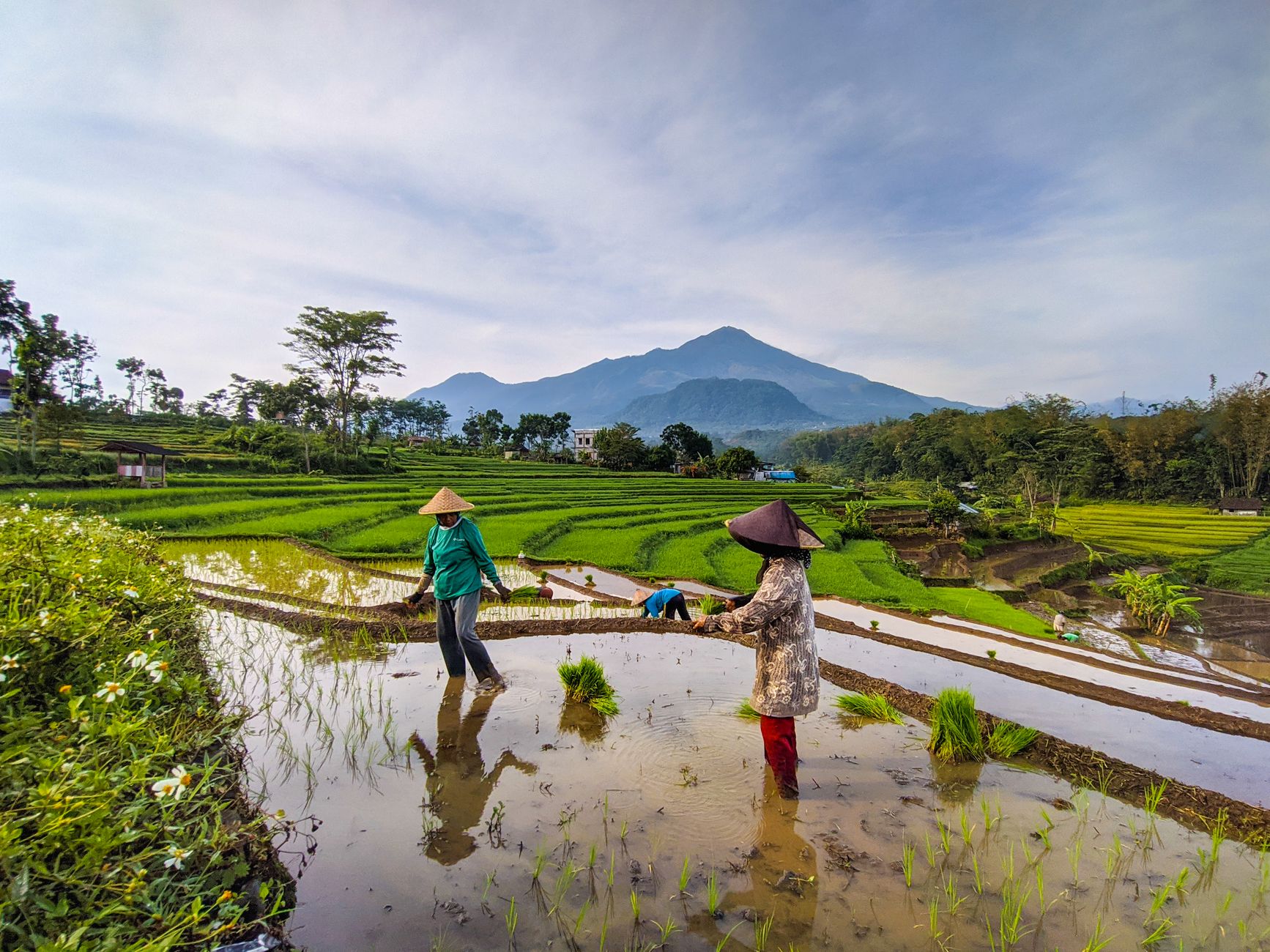 Menjelajahi Keindahan Gunung Wilis di Nganjuk: Panduan Lengkap untuk Pecinta Alam Jatim