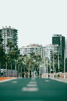 City promenade lined with palm trees and skyscrapers, showcasing modern urban living under a clear summer sky.