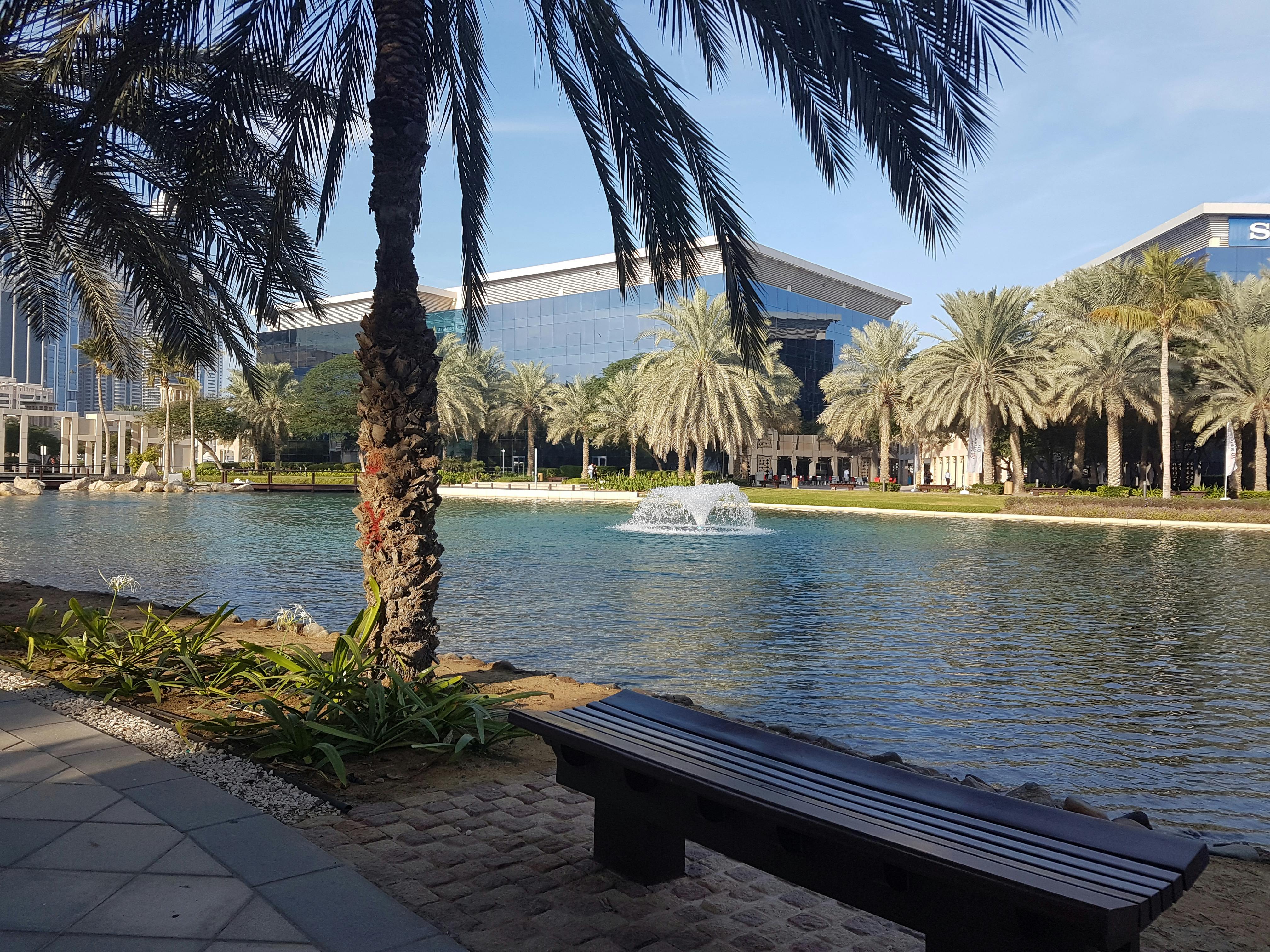 Image of a skilled therapist giving eyebrow threading.