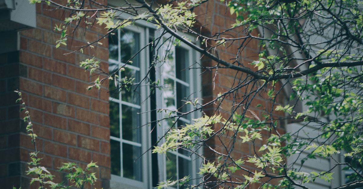 A brick house with windows surrounded by lush green branches in spring.