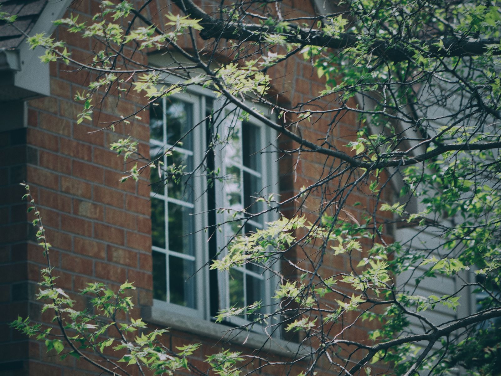 Spring 2026 Real Estate Trends in Calgary: What Buyers and Sellers Need to Know