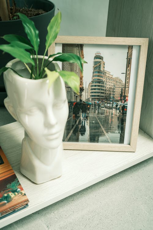 Shelf with Plant Pot and Photo of Cityscape