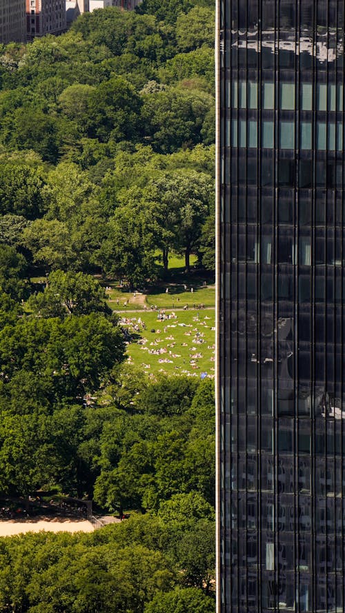 Aerial View of Part of a Skyscraper and Central Park in New York City, New York, USA