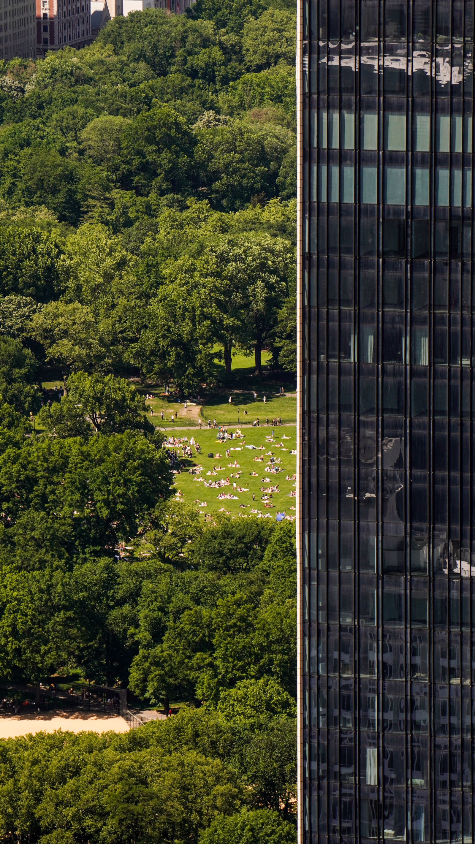 Aerial view over Central Park framed by skyscrapers