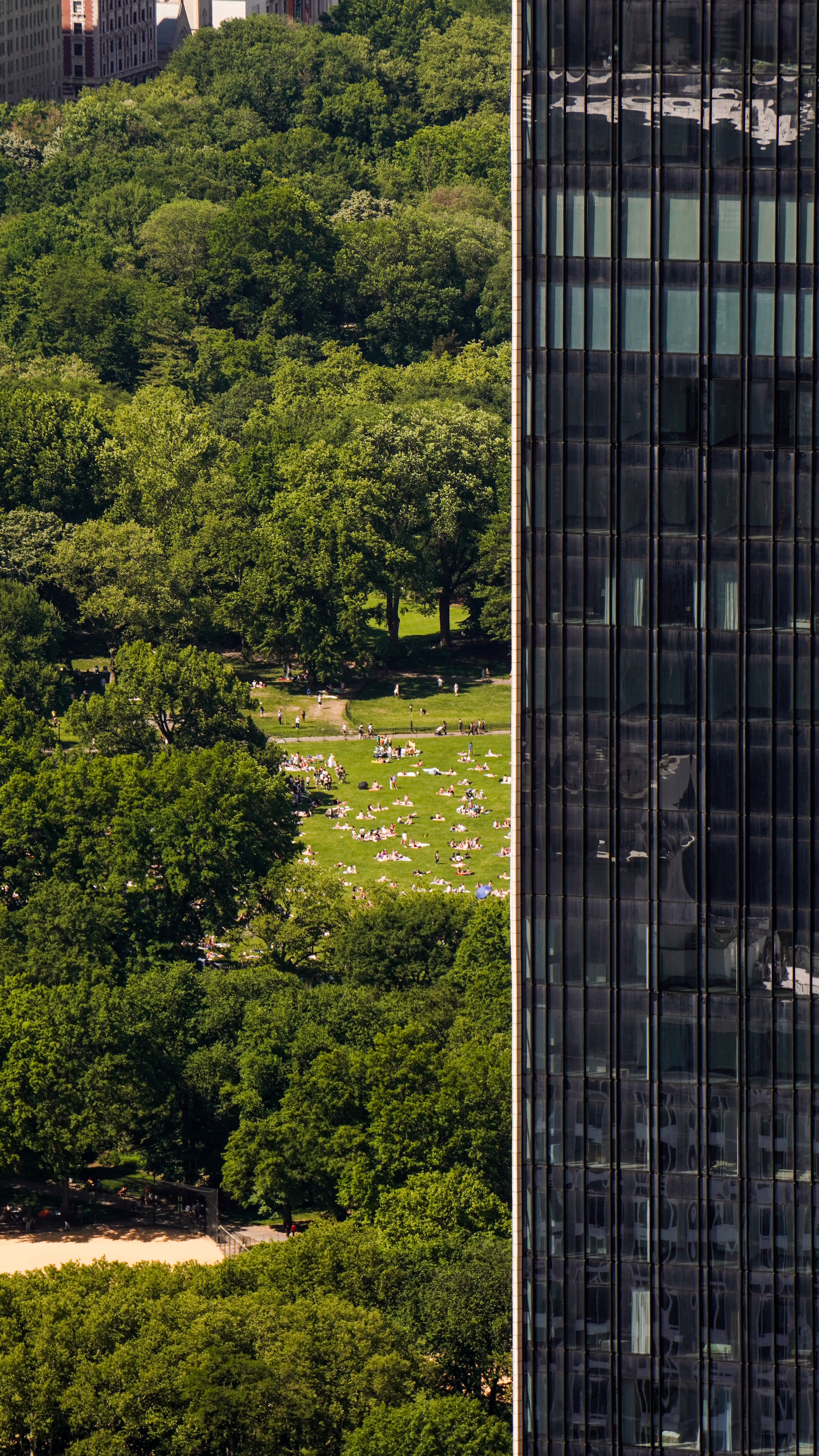 central park of new york