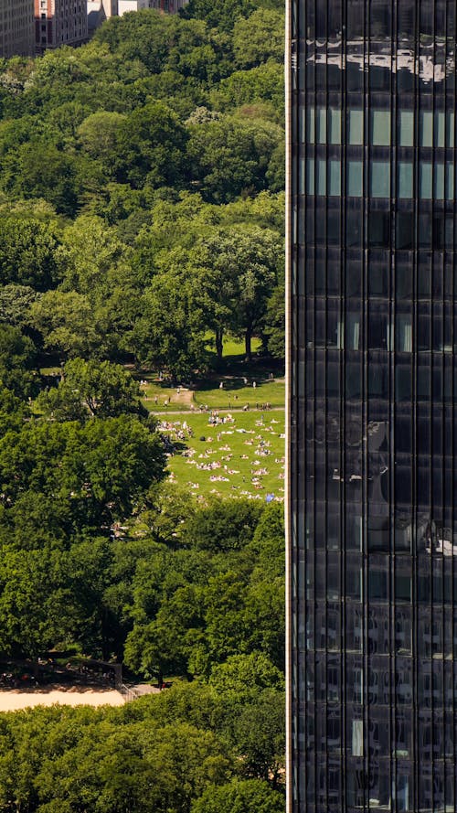 Free Aerial View of Part of a Skyscraper and Central Park in New York City, New York, USA Stock Photo