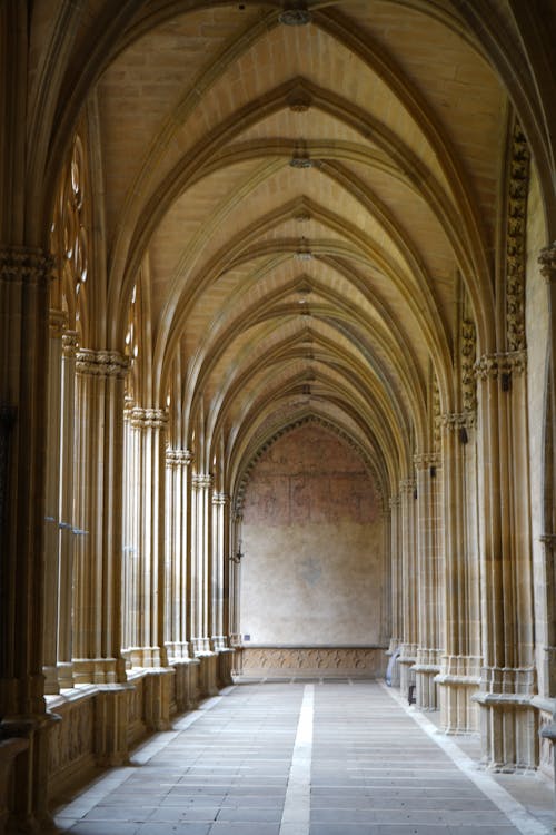 Безкоштовне стокове фото на тему «pamplona, абатство, аркада»