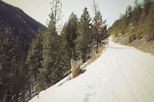 A Snowy Road