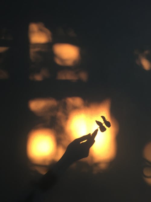 Silhouette of Hand Holding Spray with Leaves