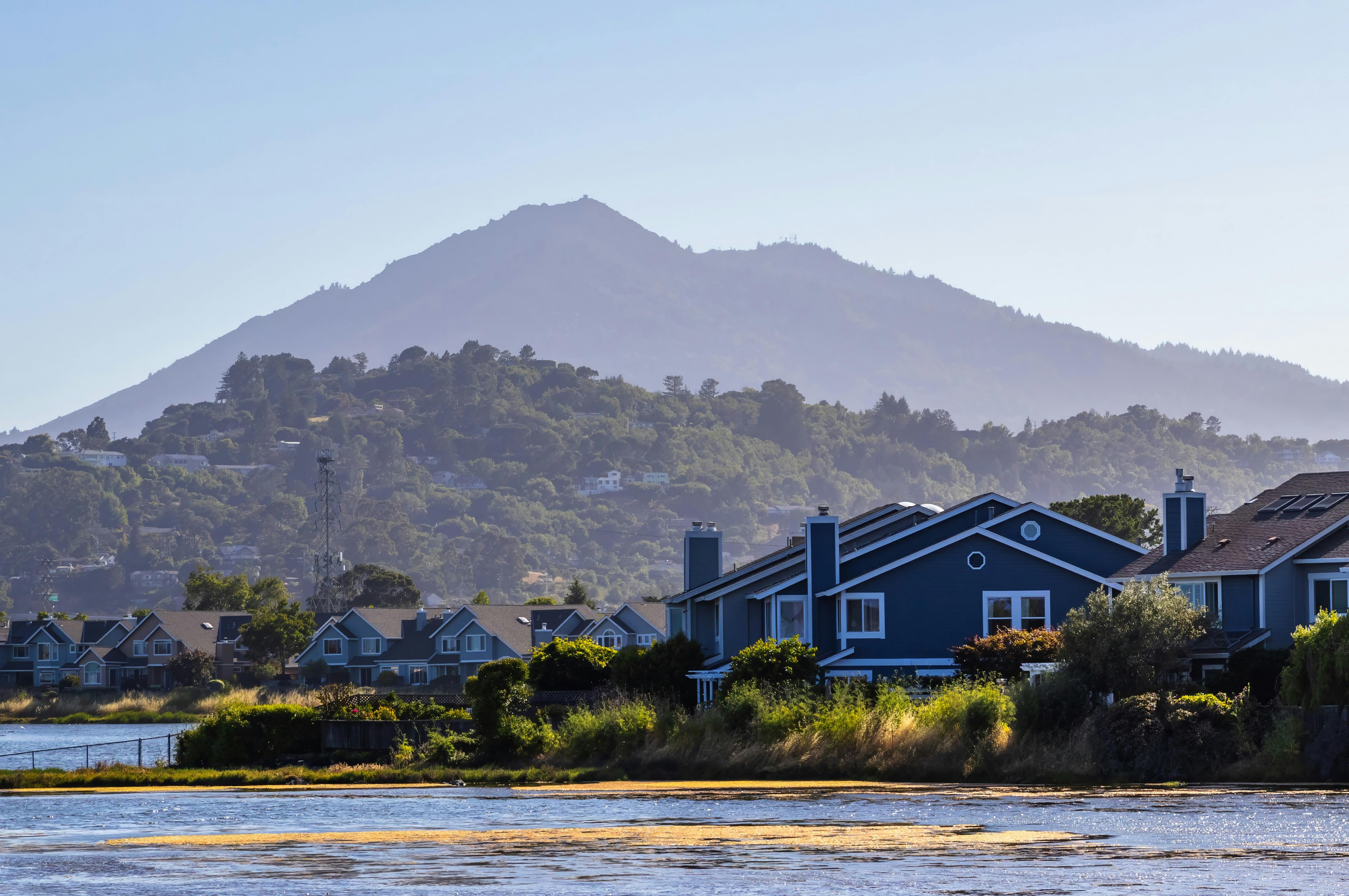 How Zillow disrupted the real estate industry — Photo by Robert So on Pexels