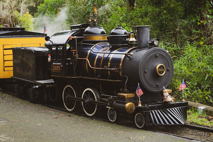 A Steam Train At The San Francisco Zoo 