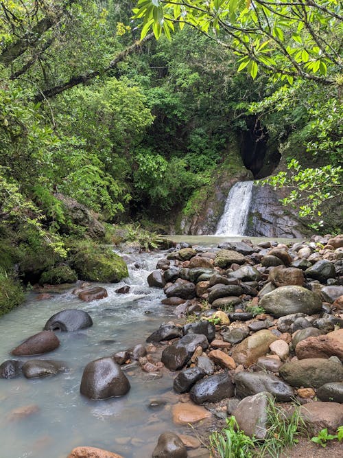 Foto stok gratis air terjun, aliran, batu