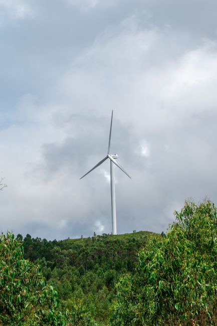 Fotomural Una turbina eólica se eleva contra un cielo nublado, rodeada de un vibrante bosque verde.