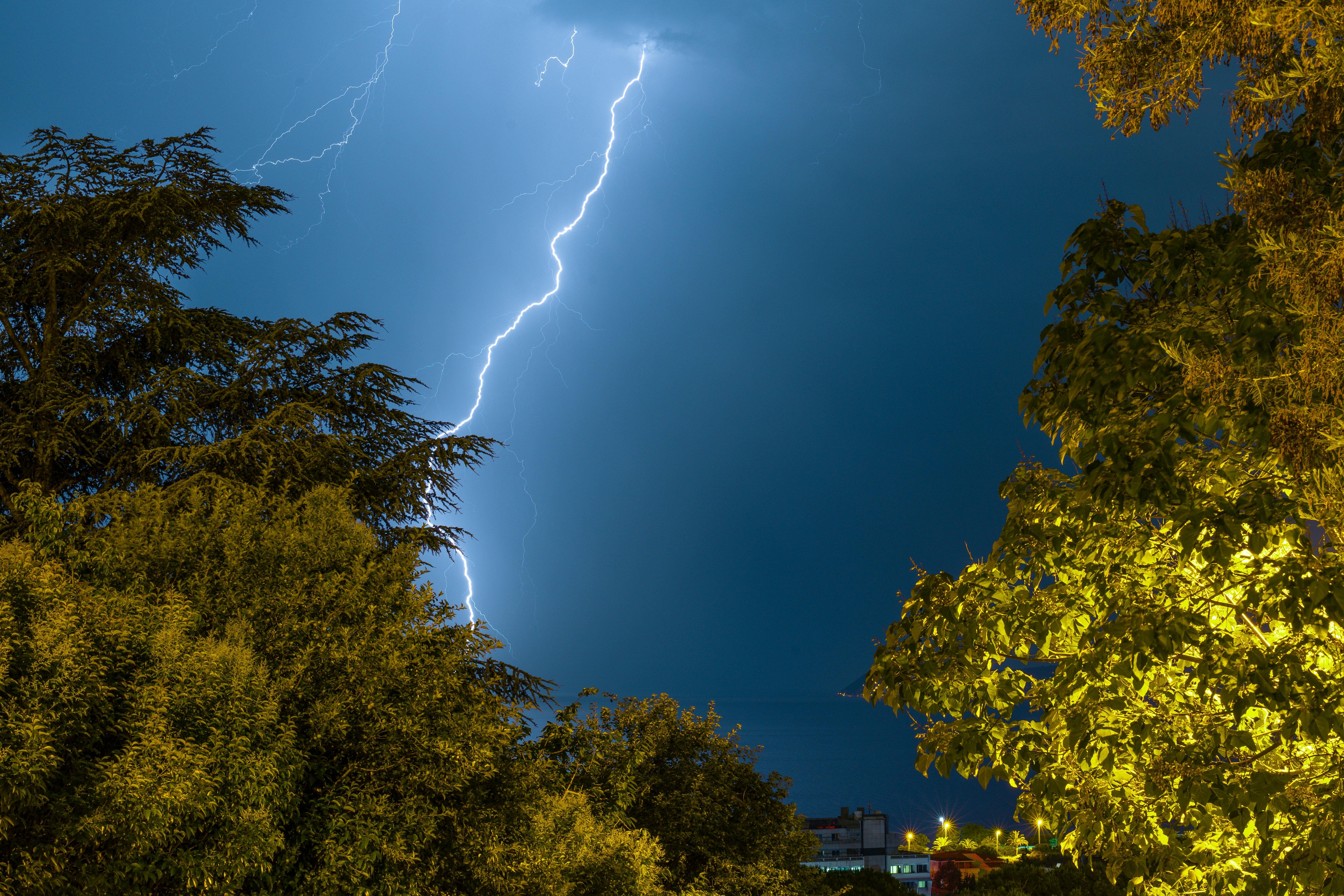 thunder above trees