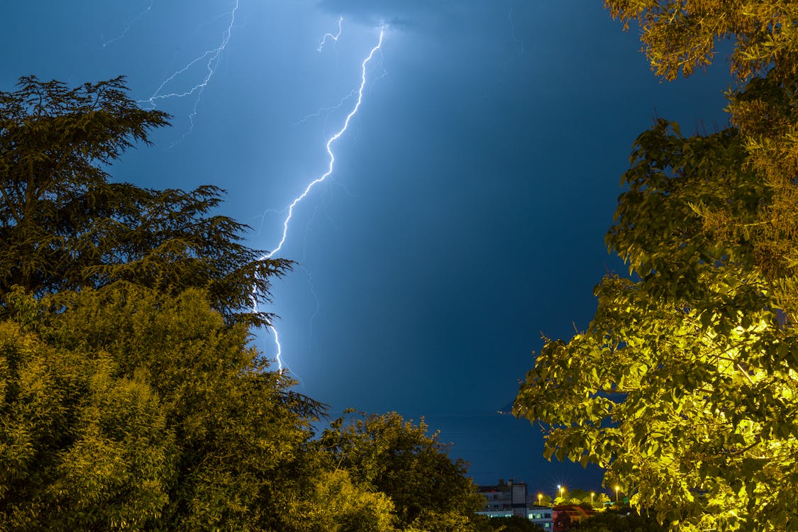 Thunder Above Trees 