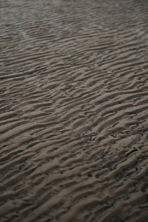 Close-up of Lines on Sand Surface on Seashore