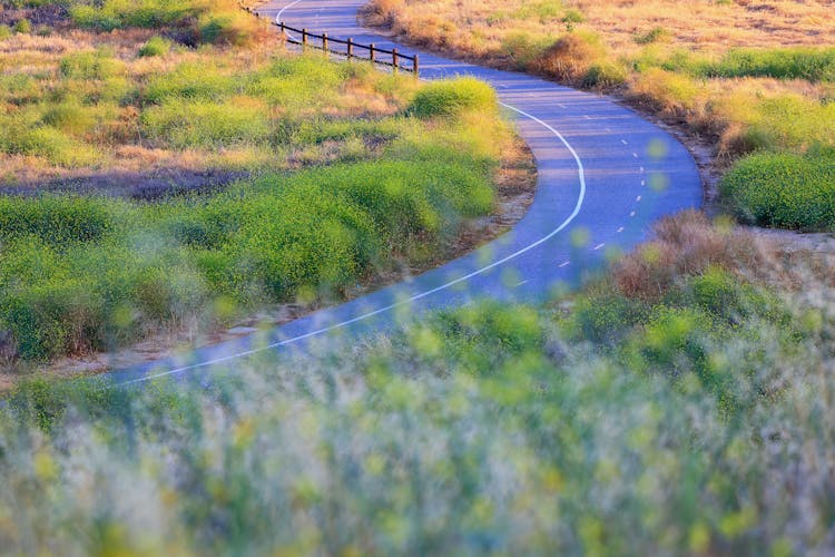 Rural Road Curving Through Sunlit Heath