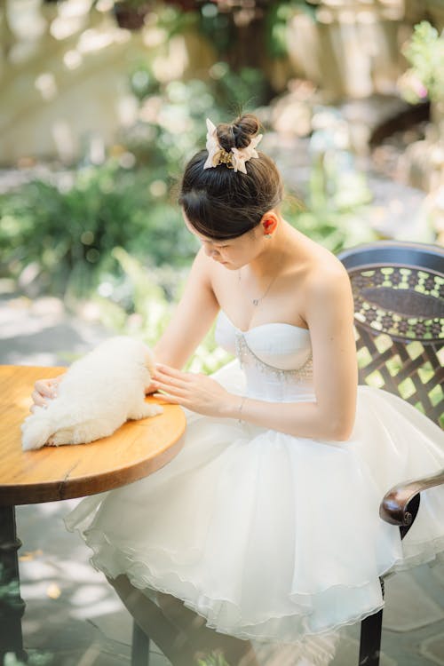 Fotos de stock gratuitas de animal, blanco, fotografía de boda