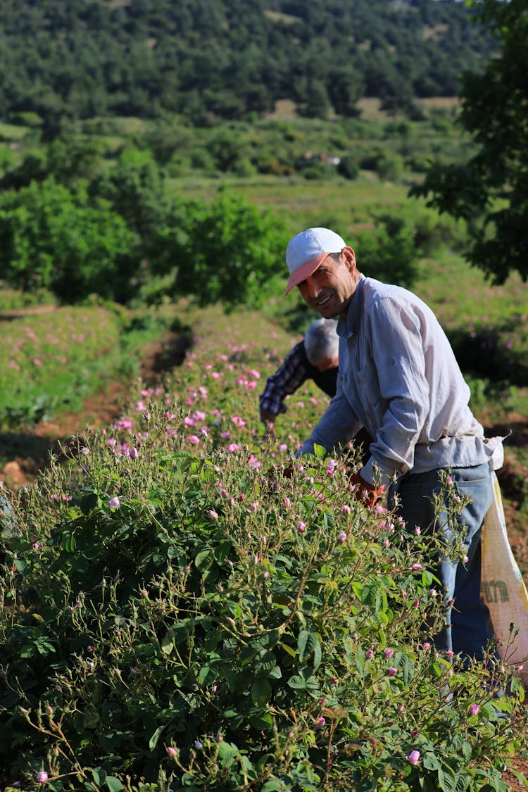 Smiling Gardener Working