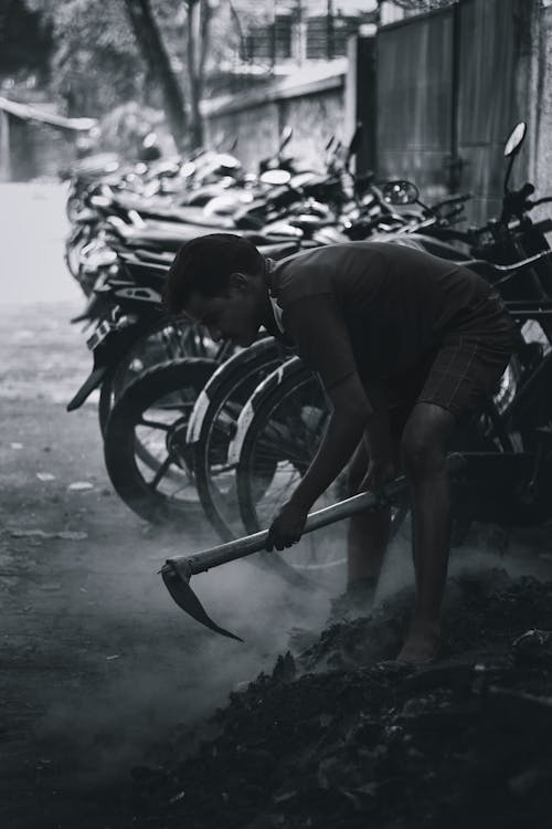 Fotobanka s bezplatnými fotkami na tému bnw, boj, boj o život