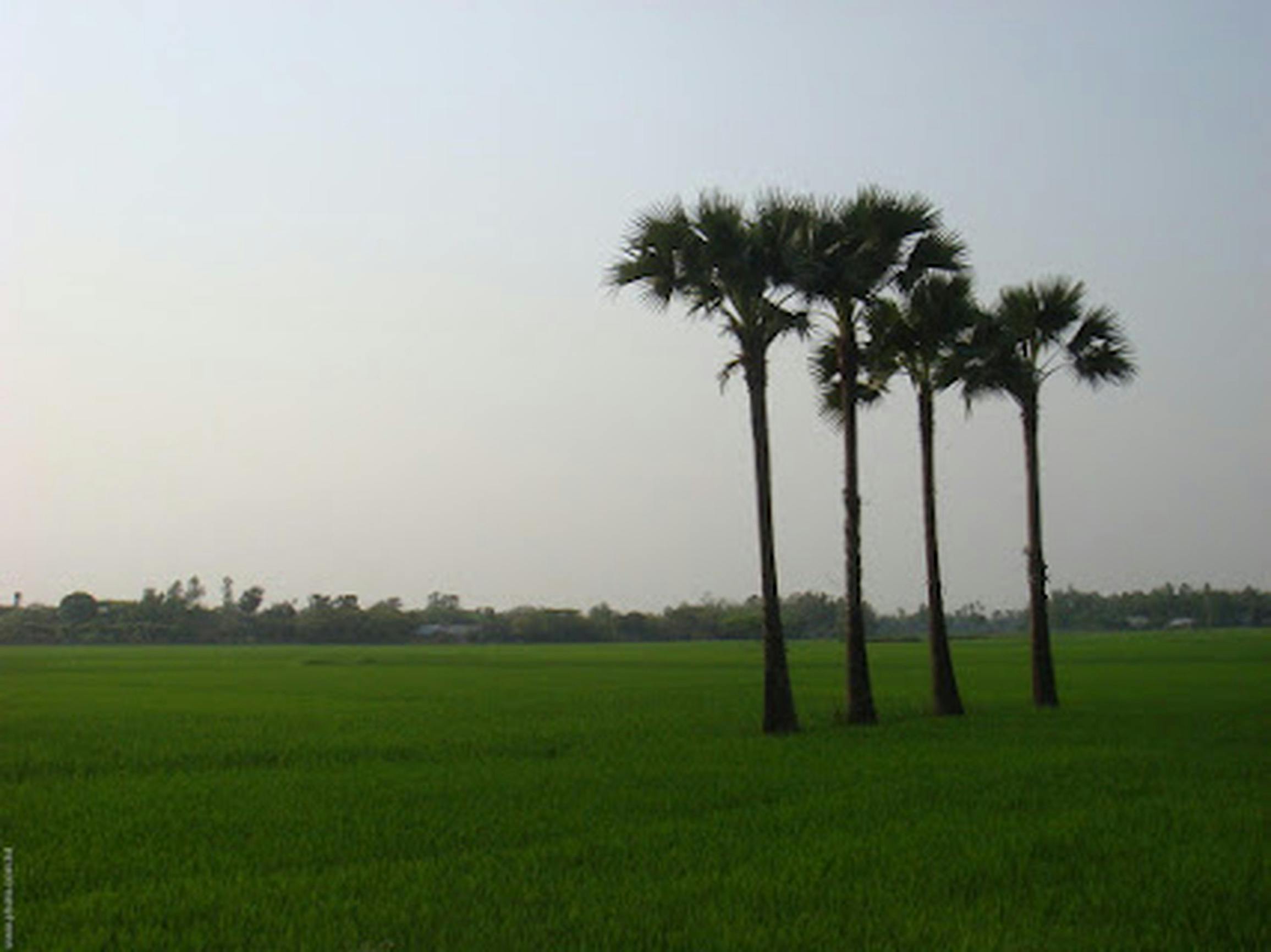 Imagen de galería de CDMX