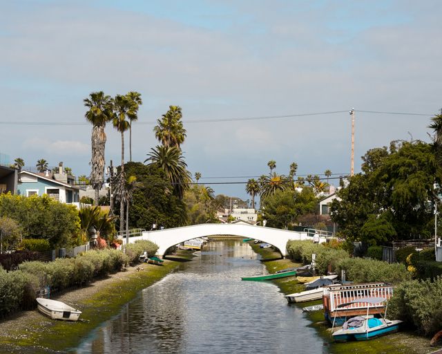 Venice Canals and bridge Venice Canals with palm trees and a small bridge