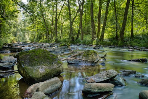 Gratis lagerfoto af eroderet, flod, natur