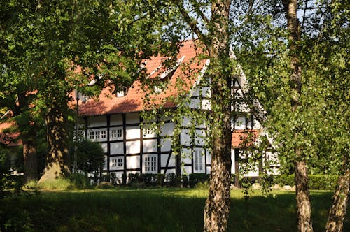 Fotos de stock gratuitas de arboles, arquitectura tradicional, bungalow