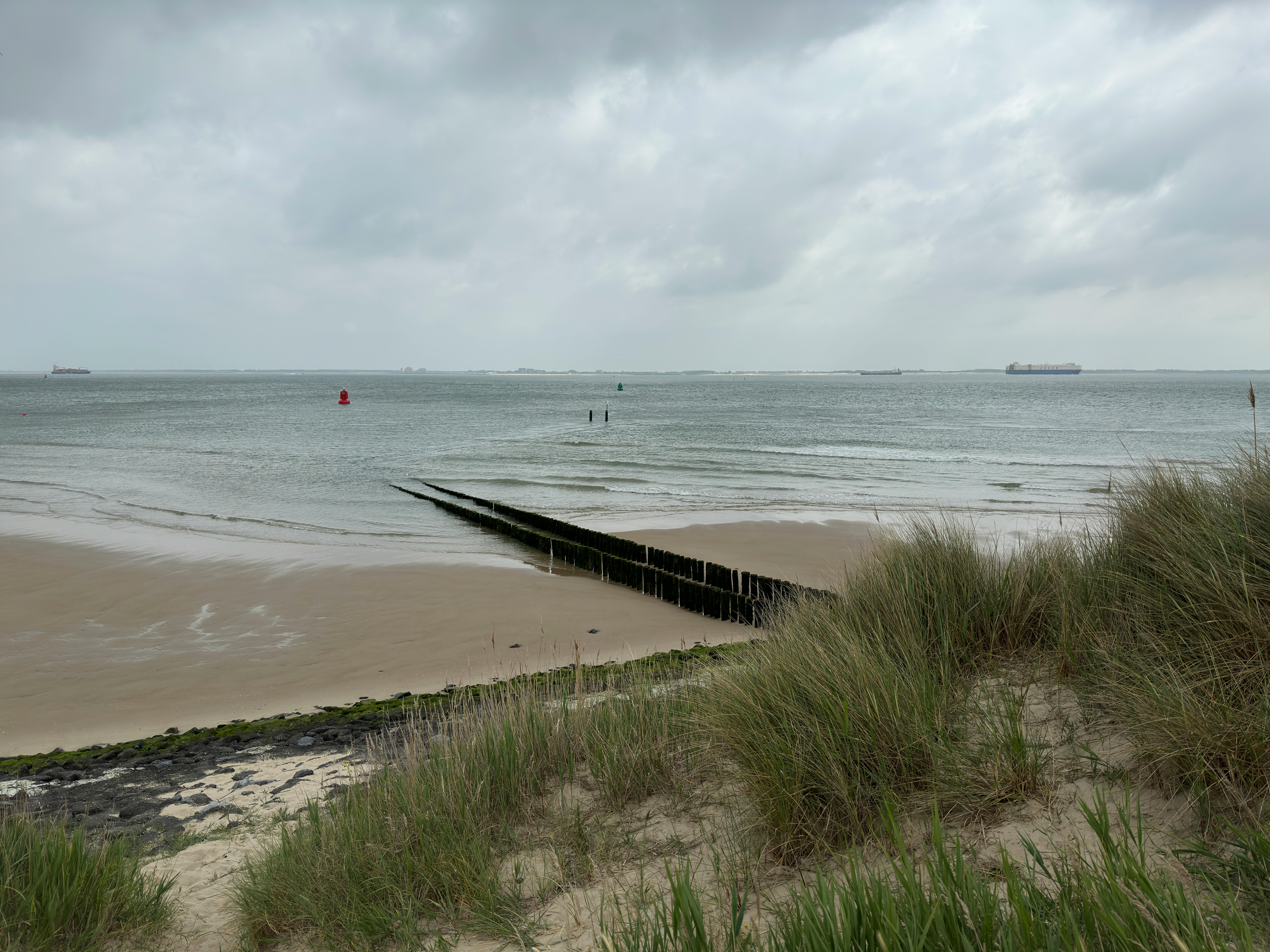 Peaceful view of an overcast coastline at Vlissingen, ideal for serene moments by the sea.