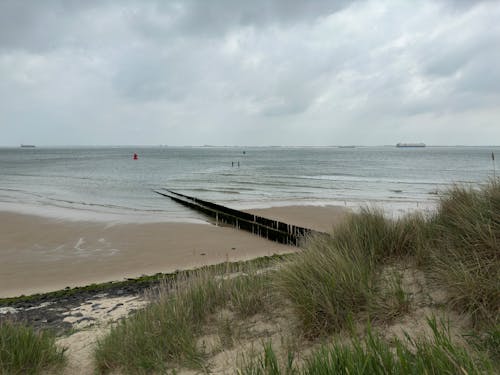 Empty Beach and Sea on an Overcast Day 