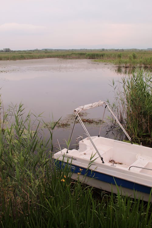 Motorboat among Rushes on Lakeshore