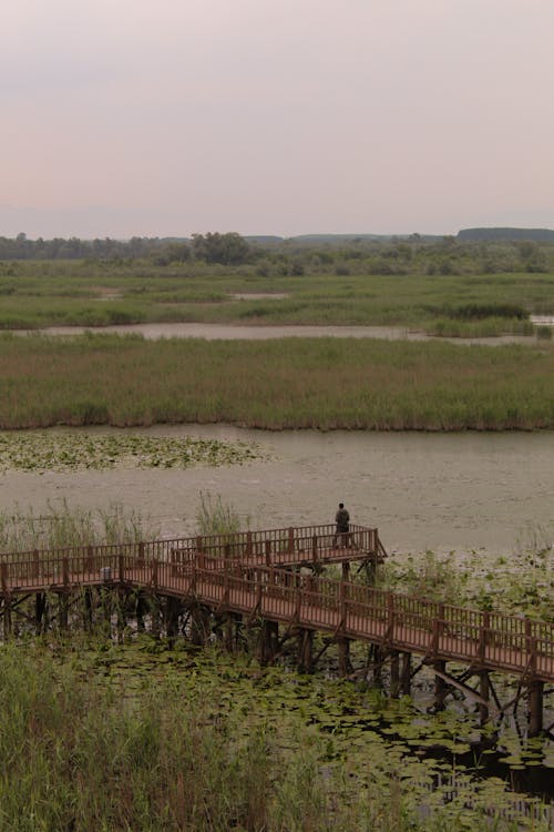 Pier in Lake