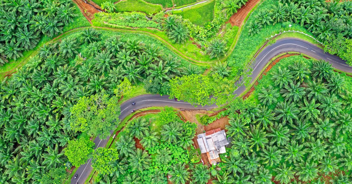 Airth Rural Aerial Shot Of Rural Area · Free Stock Photo