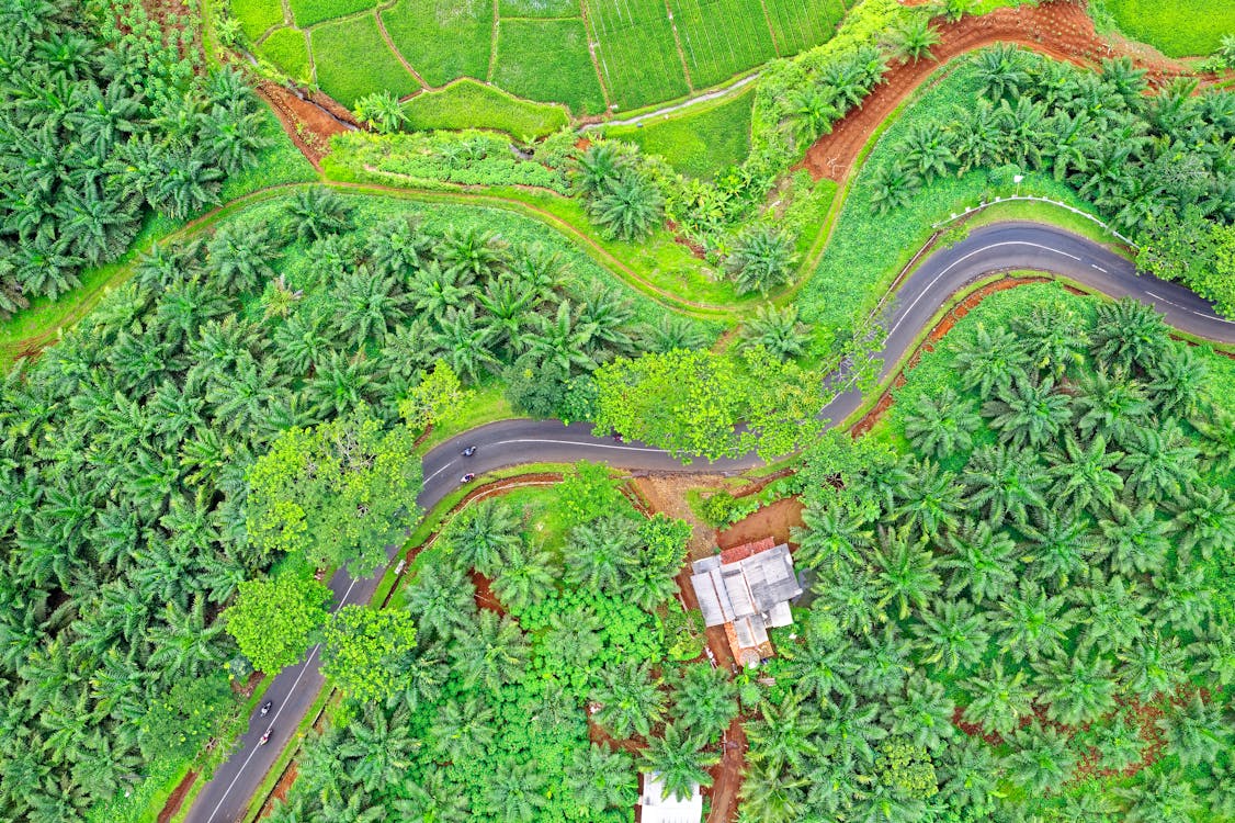 Aerial Shot Of Rural Area