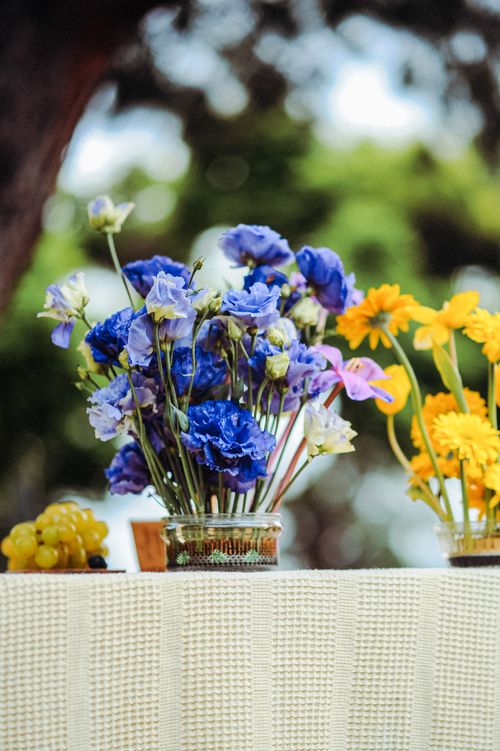 Free Colorful bouquet of blue and yellow flowers in glass vases on a table with grapes. Stock Photo