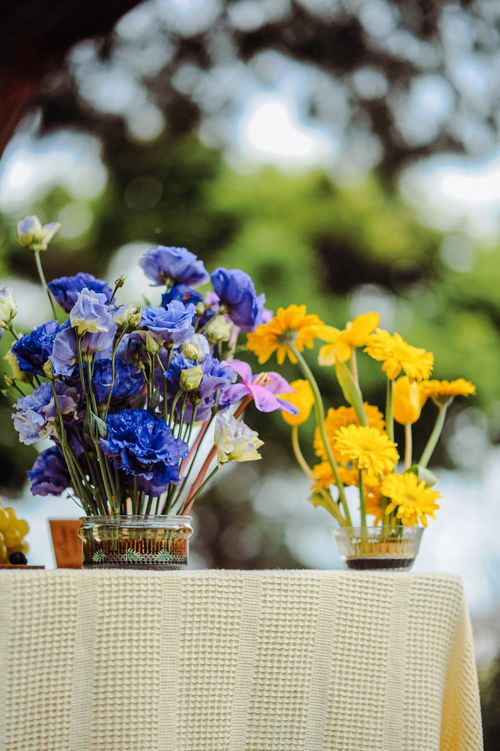 Free Colorful blue and yellow flowers in glass vases on an outdoor summer table. Stock Photo